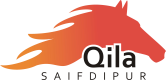 Qila-Saifdipur-Logo